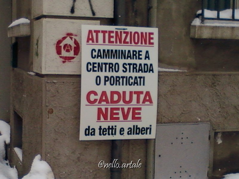 Nello- Cesena  (20)pg.jpg